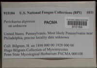 Image Associated With the Occurence